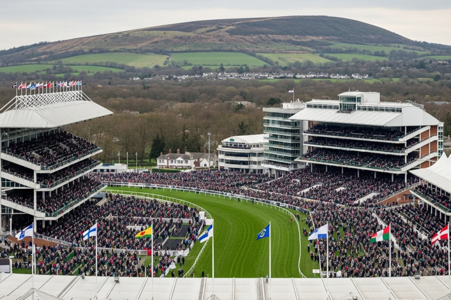 Cheltenham Festival overview showing Prestbury Park and racing history